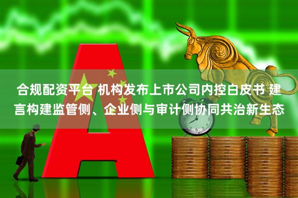 合规配资平台 机构发布上市公司内控白皮书 建言构建监管侧、企业侧与审计侧协同共治新生态
