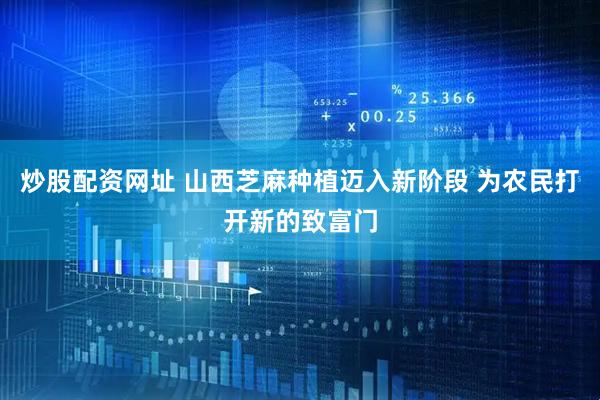 炒股配资网址 山西芝麻种植迈入新阶段 为农民打开新的致富门