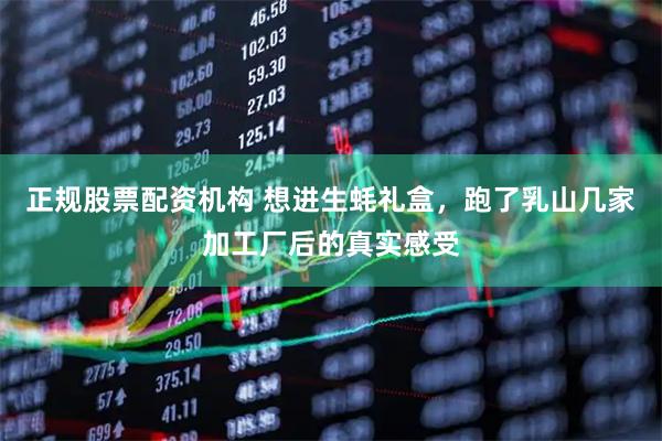 正规股票配资机构 想进生蚝礼盒，跑了乳山几家加工厂后的真实感受